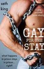 Gay for the Stay by Seth King